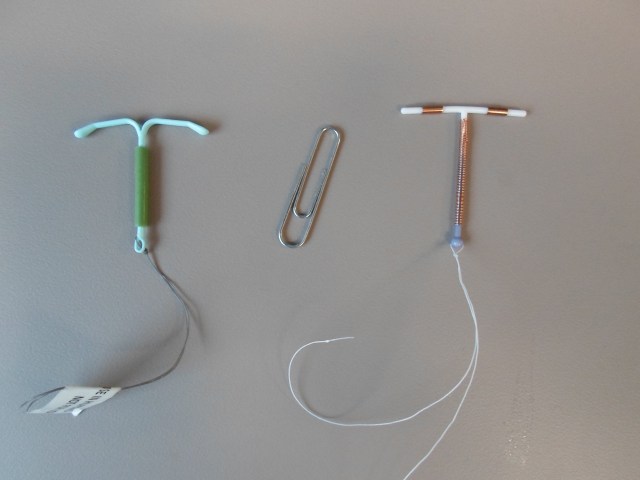 That thing in a the middle is a paper clip, not an IUD. (source)