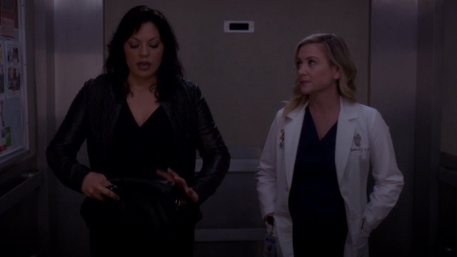 scnet_greys11x16_0310