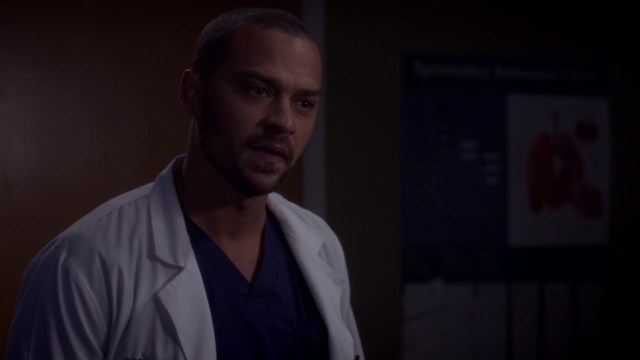 scnet_greys11x16_0978