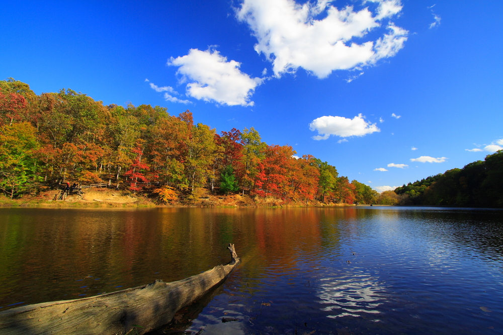 Brown County State Park, Indiana