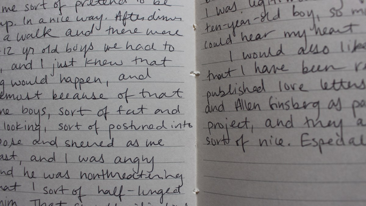 23 Excerpts from Rachel's Diary, 20132015 Autostraddle