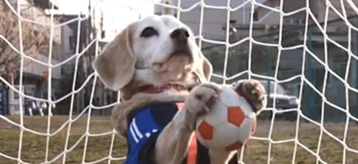 Download Sunday Funday Fortune Feimster And Laverne Cox Wanna Make Your For Android Free Wallpaper Sunday Funday Fortune Feimster And Laverne Cox Wanna Make Your For iPhone