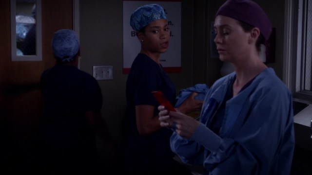 scnet_greys11x20_2061