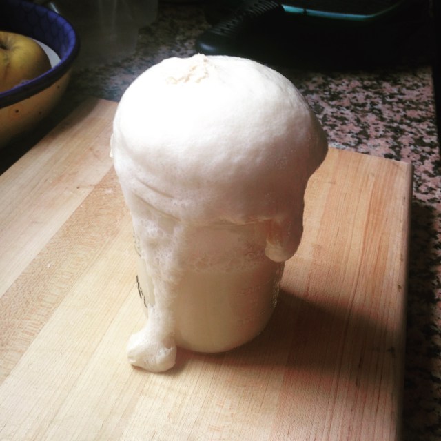 The yeast should look like this or something close. this is v happy yeast.