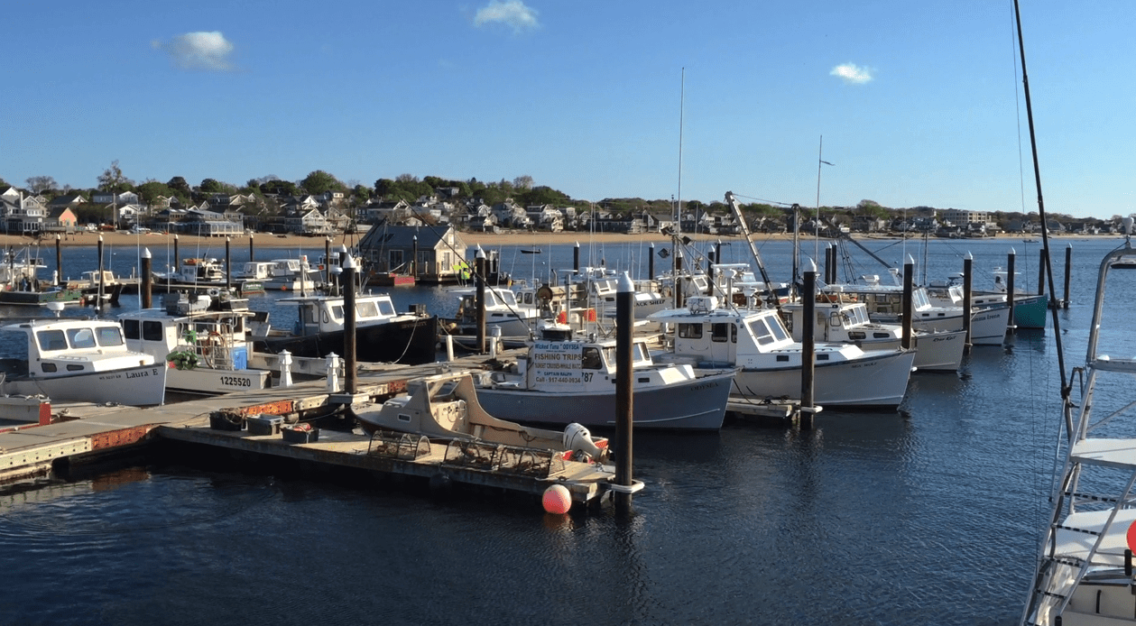 Screen Shot 2015-06-22 at 11.25.47 AM