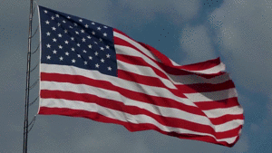 flag-wave