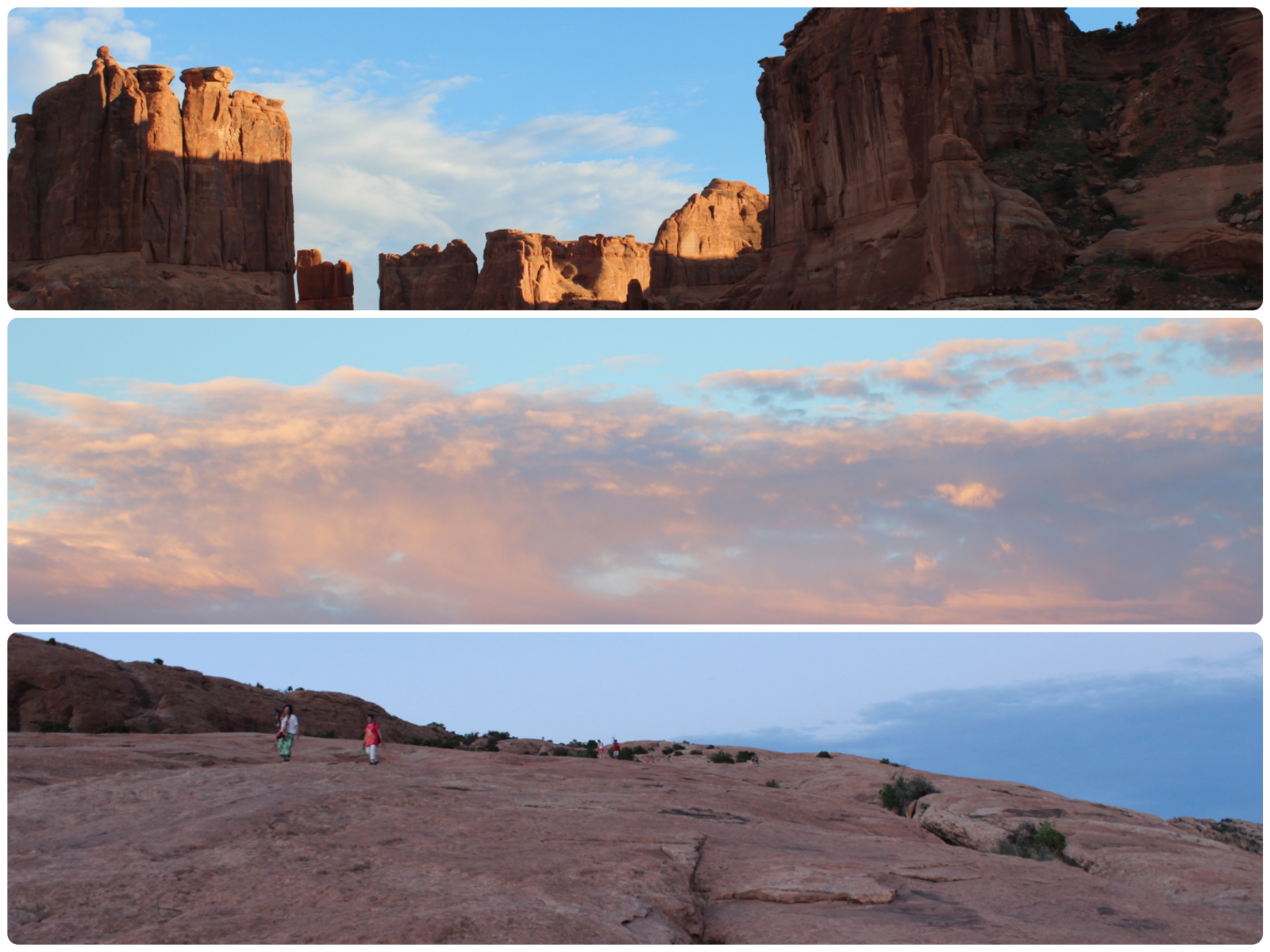 IMG_3557_Fotor_Collage
