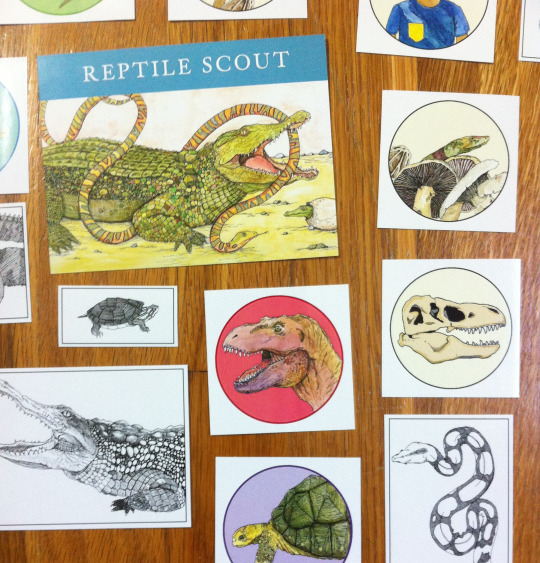 reptile scouts