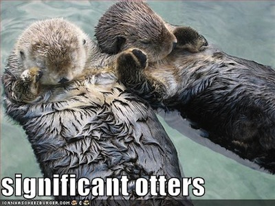 significant_otters