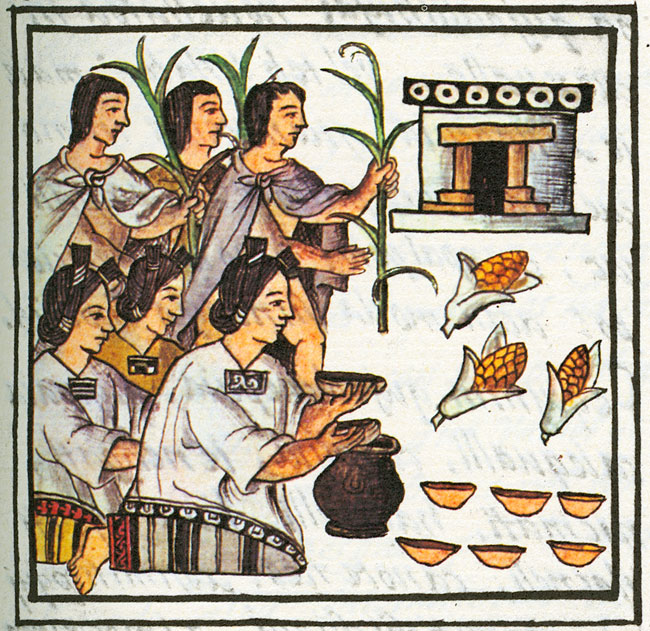 From the Florentine Codex, so Aztecs through the eyes of the colonizer. 