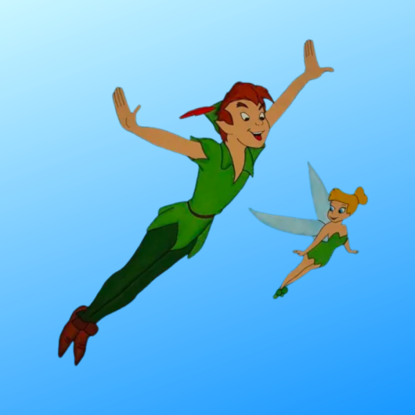 peter pan and tinkerbell halloween couples costume