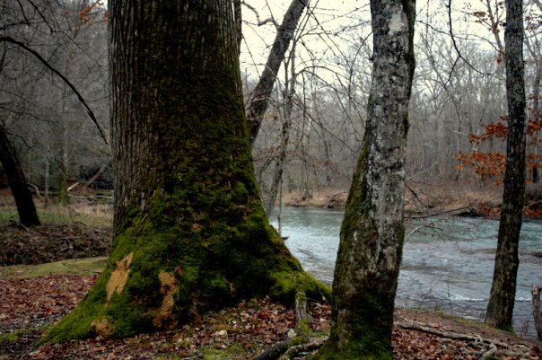 IT'S GONNA LOOK LIKE THIS. (photo taken six years ago by me)