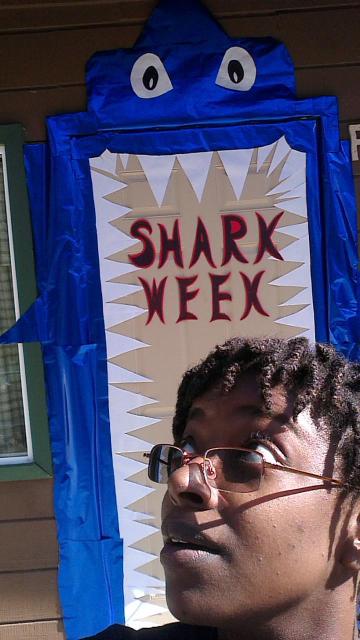 shark week