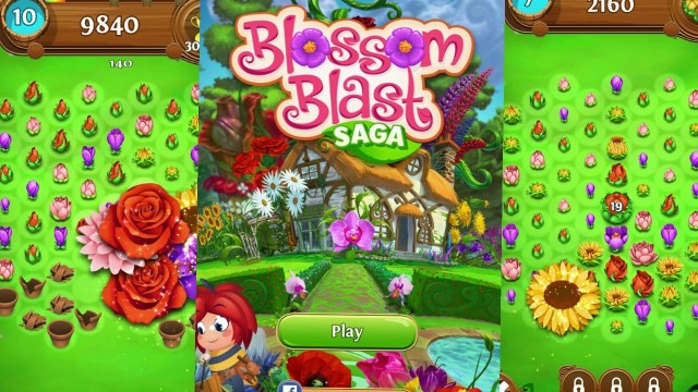 blossom-blast