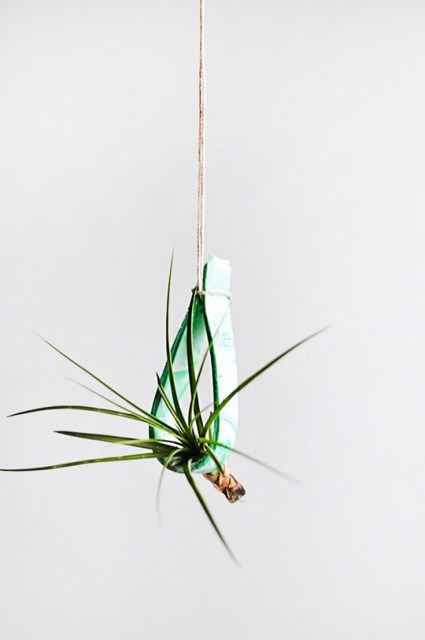 diy clay hanging plant holder