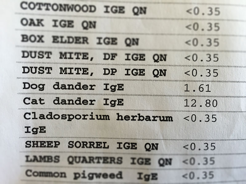 The author's allergy text, which shows an IgE rating of 12.80 for cat dander, which is a high allergy rating.