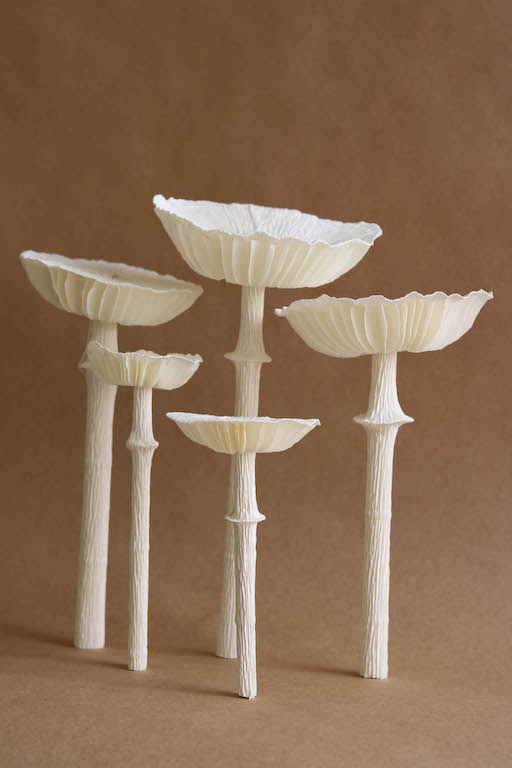 paper mushrooms