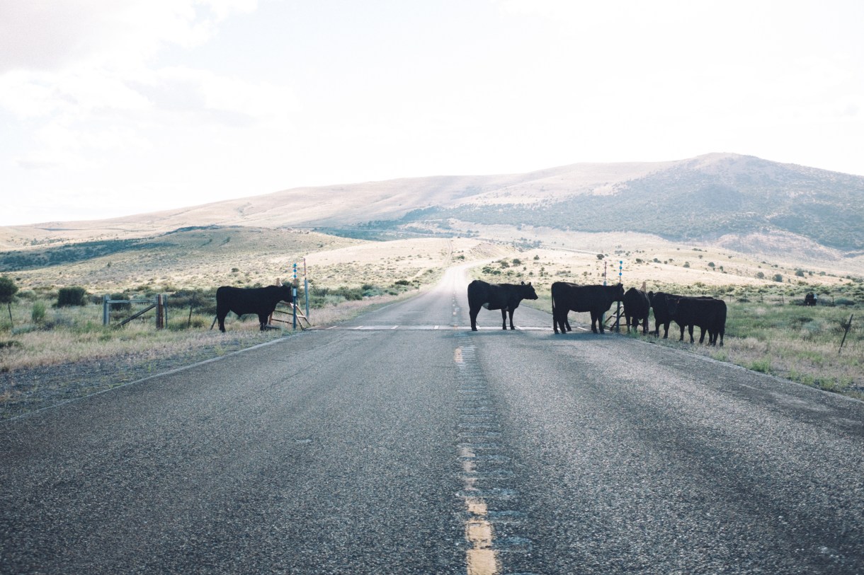 Morning traffic