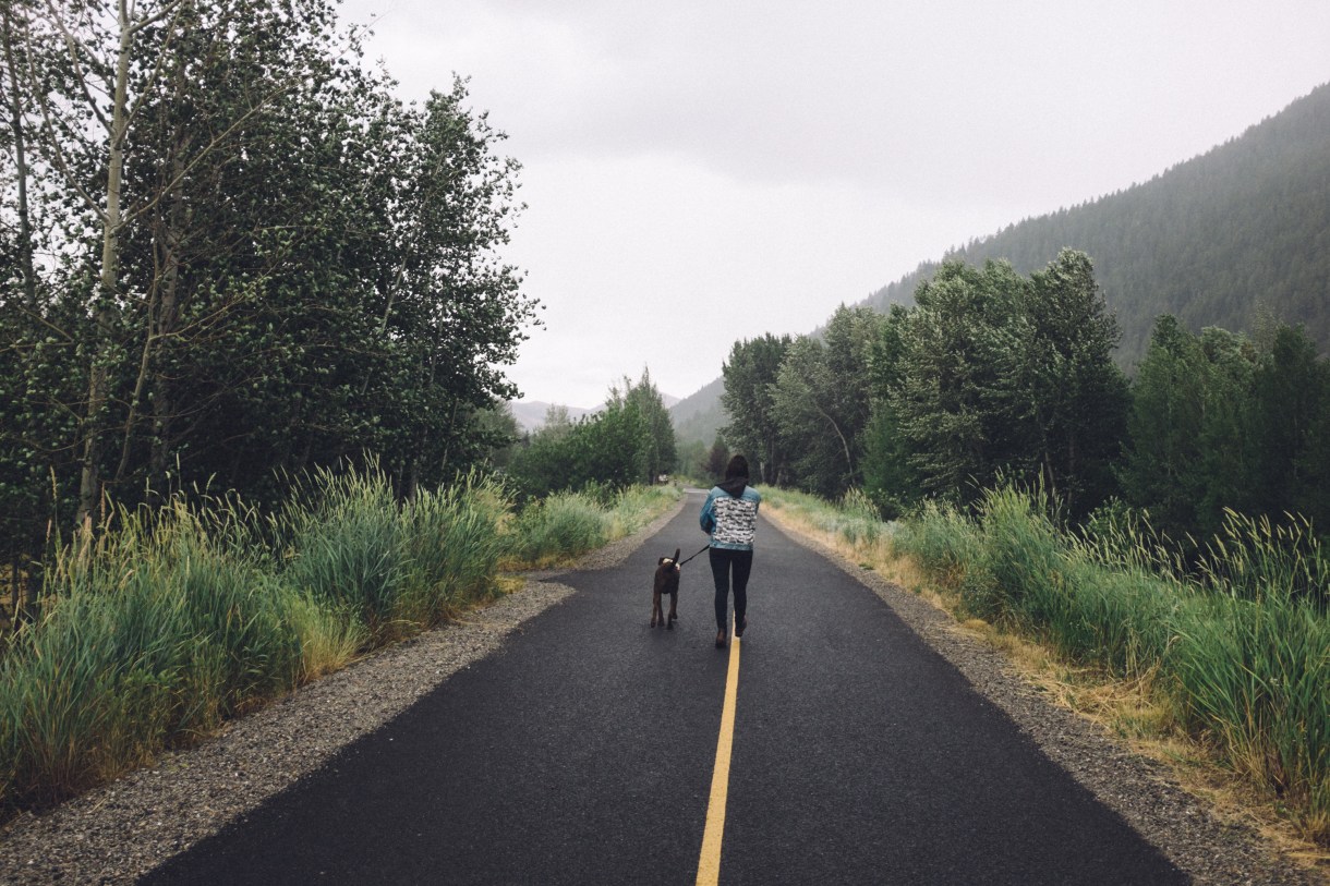 On the path I grew up riding