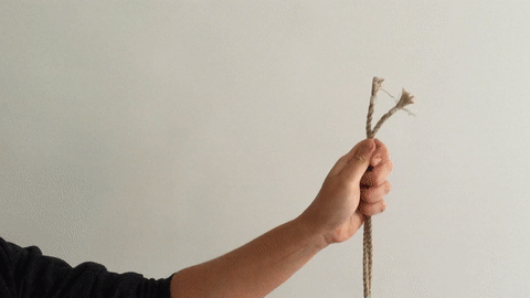 shibari-101-let-s-talk-about-japanese-rope-bondage-autostraddle