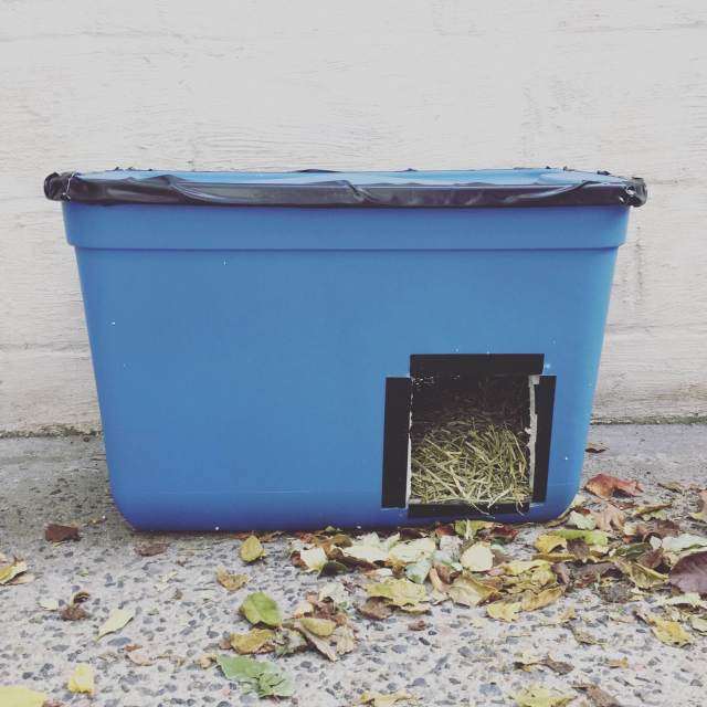 Build an Emergency Cold-Weather Shelter for Stray or Feral Cats