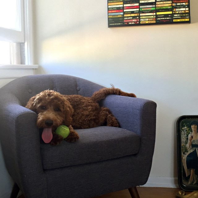 We're also into photos here. Cannot even w/ this face.