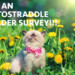 Autostraddle Reader Survey 2016: We Wanna Know All About You!