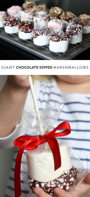 02-giantchocolateddippedmarshmallows