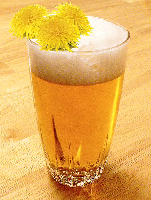 Dandelion Beer