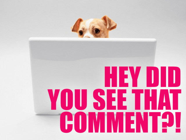 A very small tan and white pup with floppy ears poking over the top of a white laptop with the text "Hey, did you see that comment?!"