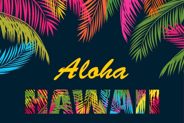 Αποτέλεσμα εικόνας για Hawaii tourism gives importance to LGBT travel from Japan & Taiwan