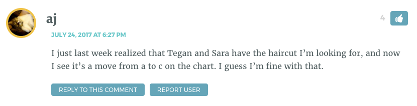 I just last week realized that Tegan and Sara have the haircut I’m looking for, and now I see it’s a move from a to c on the chart. I guess I’m fine with that.