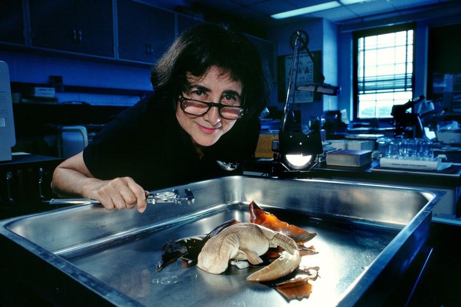 A woman with brown hair and glasses leans over a small shark.