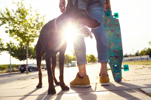 dog and lesbian with a skateboard and the sun in the background
