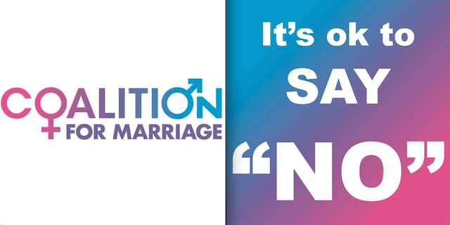 pro-gay marriage essay goes viral pro-gay marriage essay goes viral