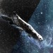 The Mammalian Dive Reflex