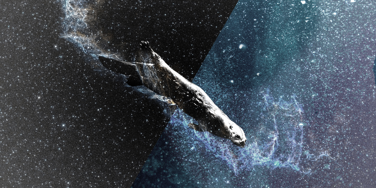 The Mammalian Dive Reflex | Autostraddle