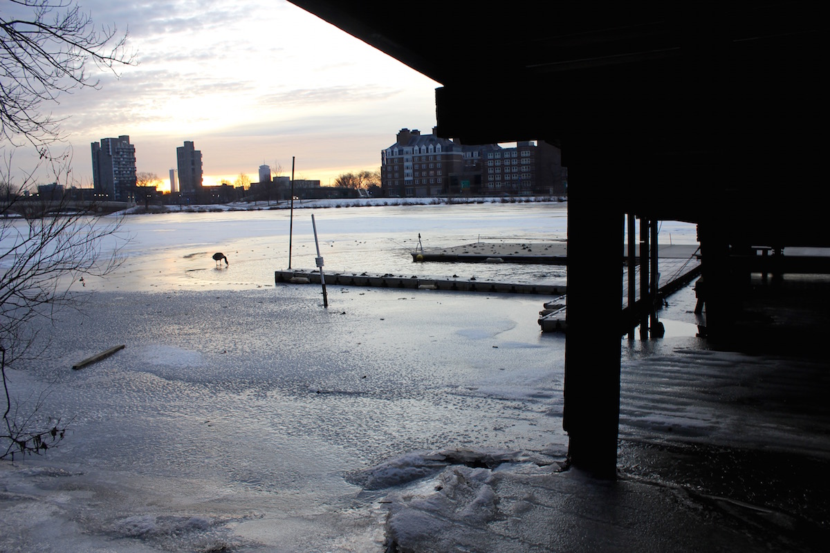 A bird in the water next to a boat docking station.