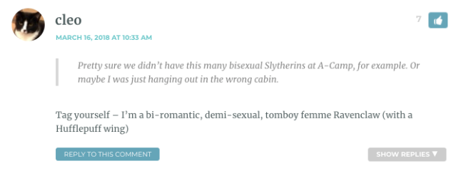 Tag yourself – I’m a bi-romantic, demi-sexual, tomboy femme Ravenclaw (with a Hufflepuff wing)