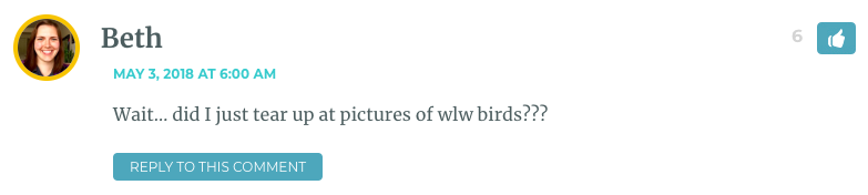 Wait… did I just tear up at pictures of wlw birds???