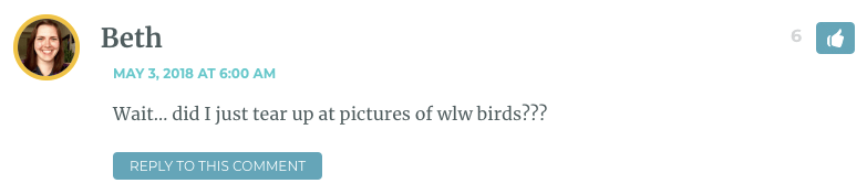 Wait… did I just tear up at pictures of wlw birds???