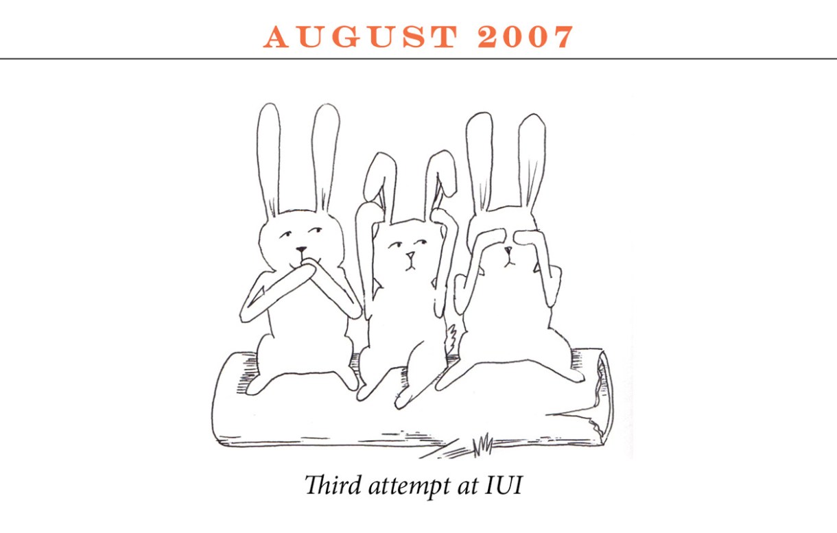 August 2007 Image description: Three rabbits sit on a log miming the speak-no-evil, hear-no-evil, see-no-evil positions. Caption: “Third attempt at IUI