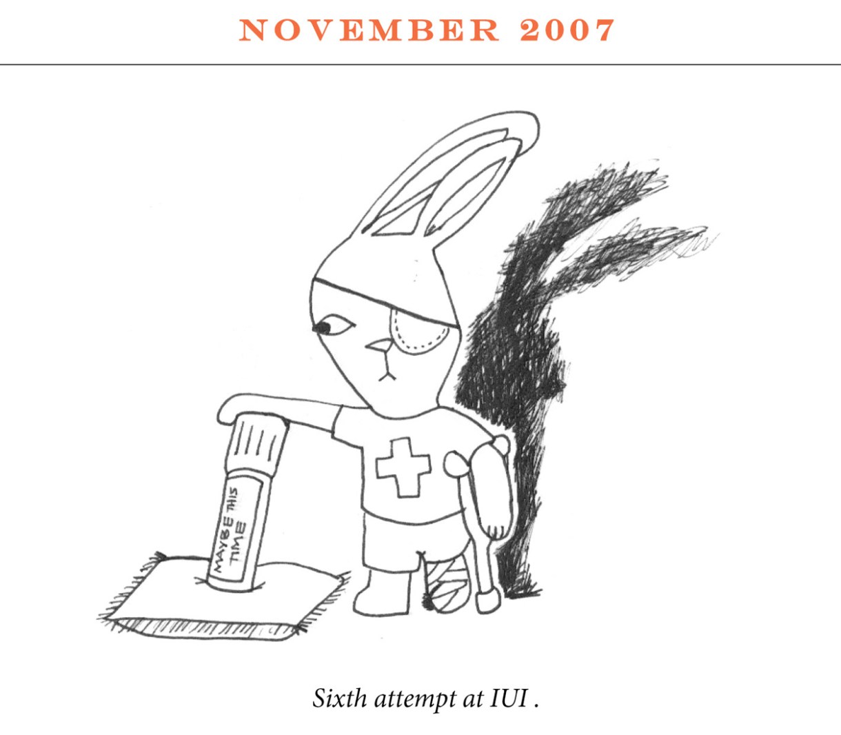 November 2007 Image description: A rabbit hold a vile that reads, “Maybe this time.