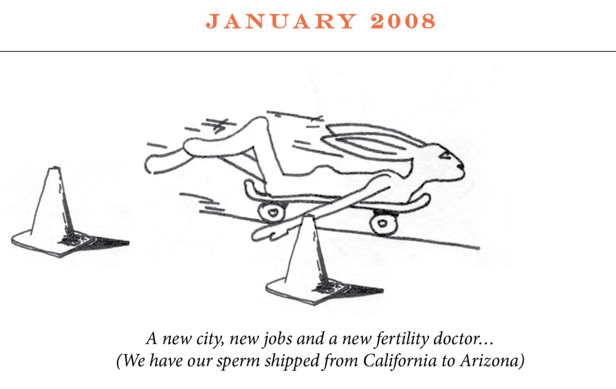 January 2008 Image description: A rabbit rides a skateboard on her belly past two traffic cones. Caption: “A new city, new jobs and a new fertility doctor… (We have our sperm shipped from California to Arizona)