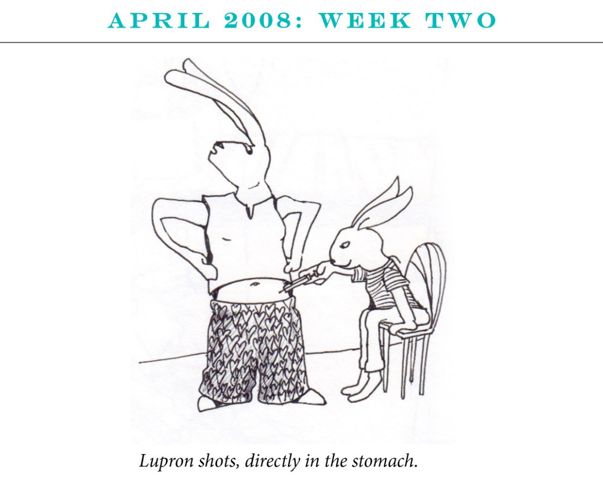 April 2008: Week Two Image description: One rabbit sits on a chair giving the second rabbit a shot in the stomach. Caption: “Lupron shots, directly in the stomach.