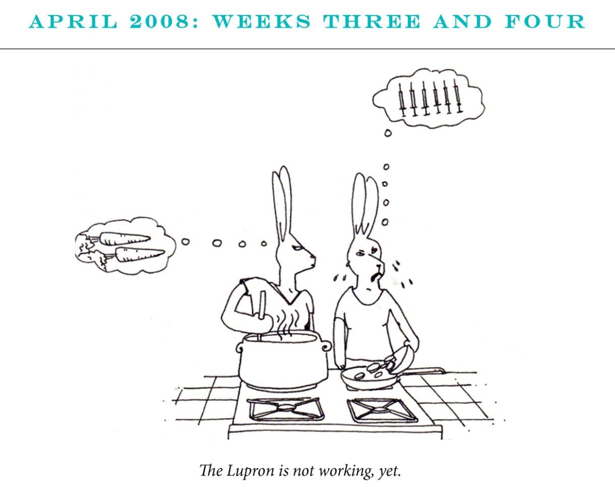 April 2008: Weeks Three and Four Image description: Two rabbits cook together at a stove top. One looks confused and is thinking of carrots. The second is crying and thinking about a line of syringes. Caption: “The Lupron is not working yet.