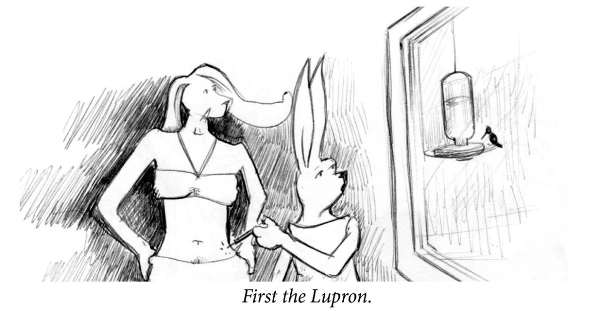 Image description: Two rabbits are distracted by a hummingbird feeding at their window. One rabbit is giving the second a shot in the stomach. Caption: “First the Lupron.”