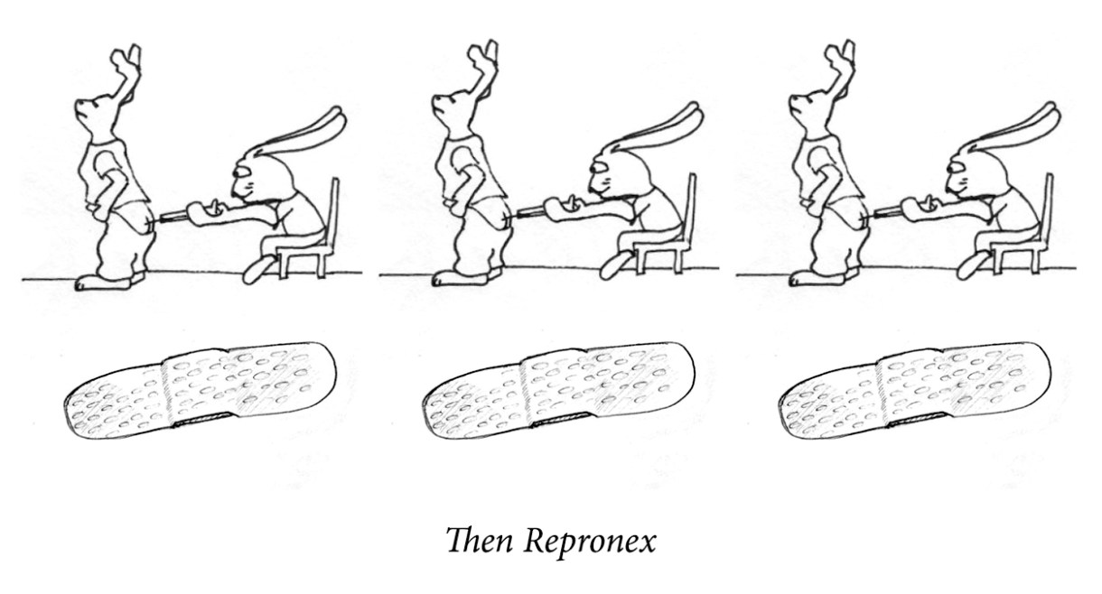 Image description: A happy rabbit gives the other rabbit a shot in the ass. The same image repeats three times. Below is a line of three large bandaids. Caption: “Then repronex.