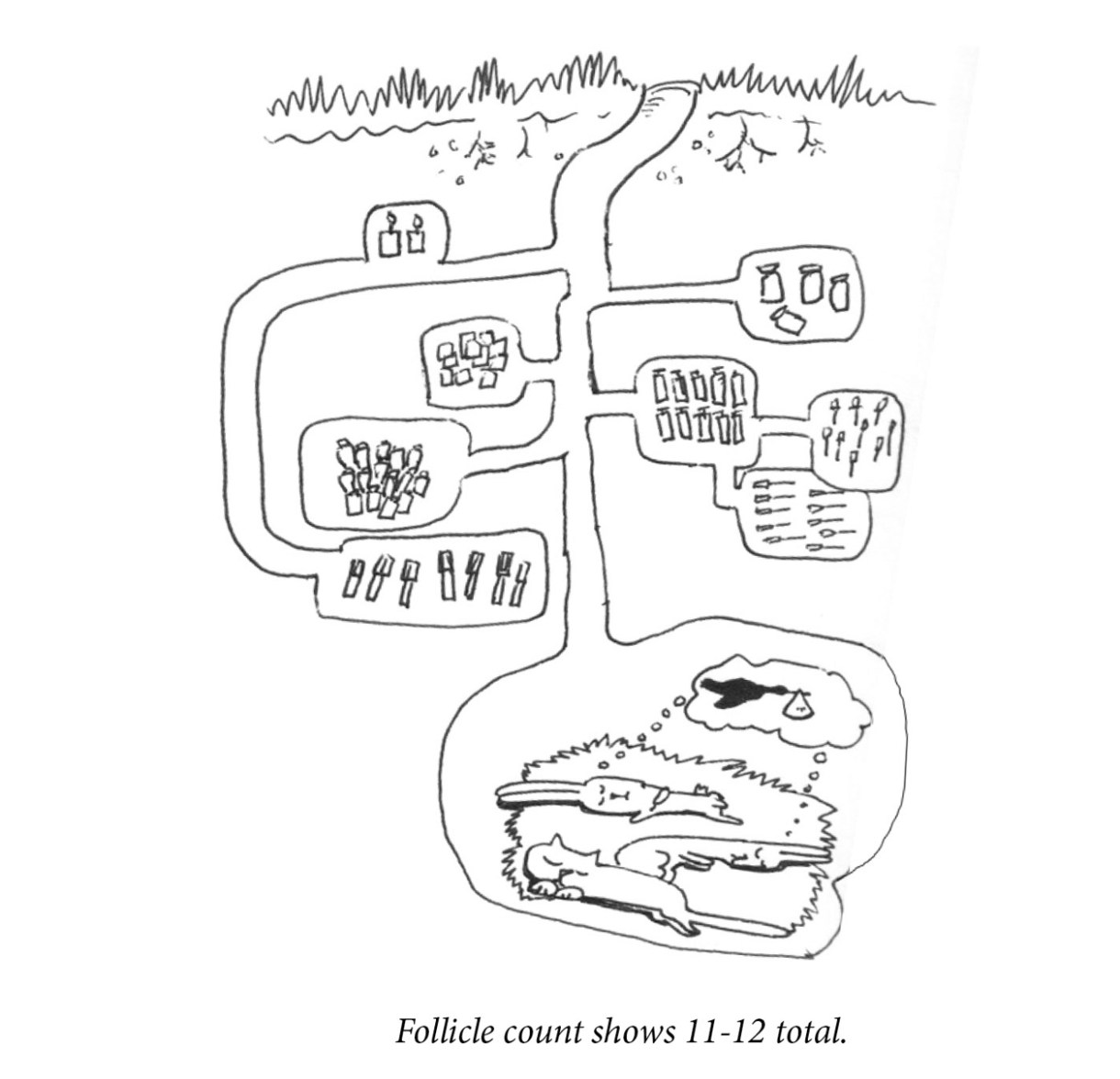 Image description: An underground cross-section of the rabbit hole shows a network of tunnels and storage areas with viles, swabs, and other medical supplies. At the base of the rabbit hole, two rabbits and a cat sleep peacefully, sharing a dream of a stork with a baby bundle. Caption: “Follicle count shows 11-12 total.