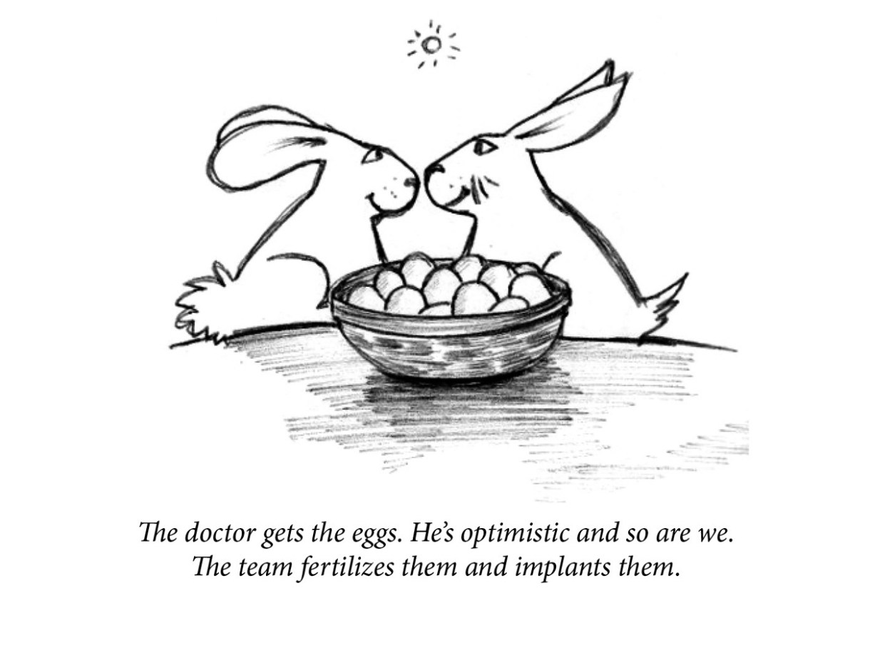 Image description: Two rabbits smile at each other, nose to nose. Centerred in the foreground is a basket of eggs. In the sky behind them, a small sun is shining. Caption: “The doctor gets the eggs. He’s optimistic and so are we. The team fertilizes them and implants them.”